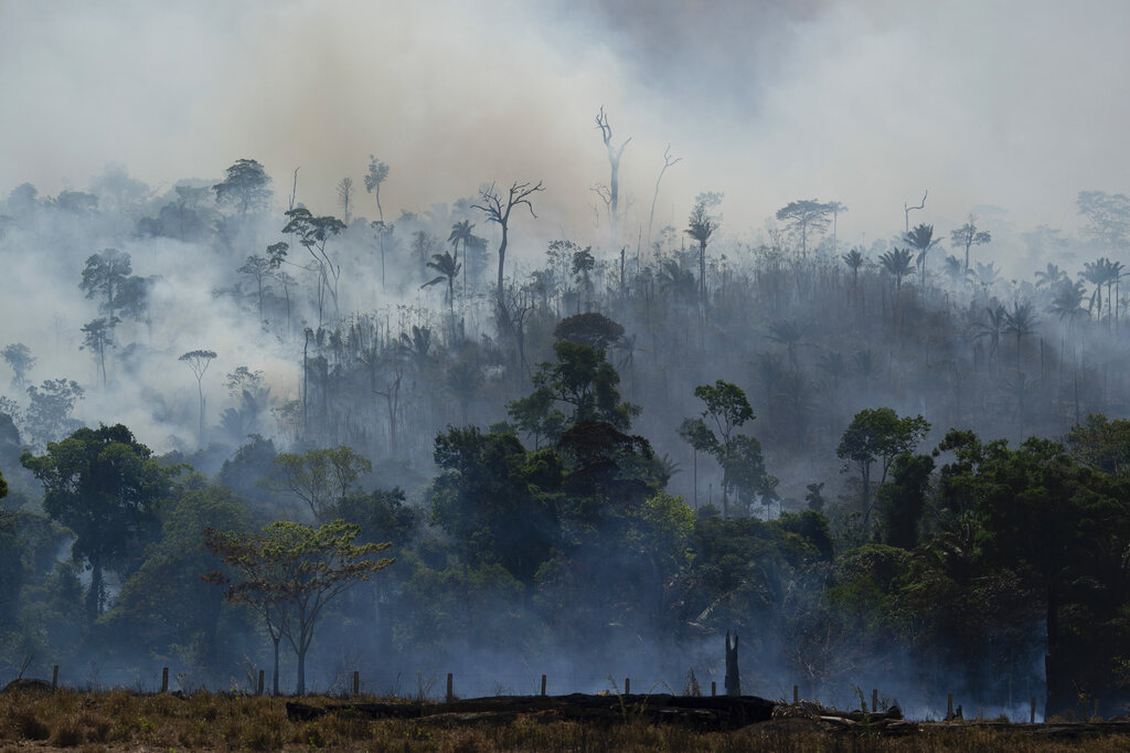 Un incendio arrasa con la selva tropical de la Amazonía en Altamira, Brasil, el martes 27 de agosto de 2019. (AP)