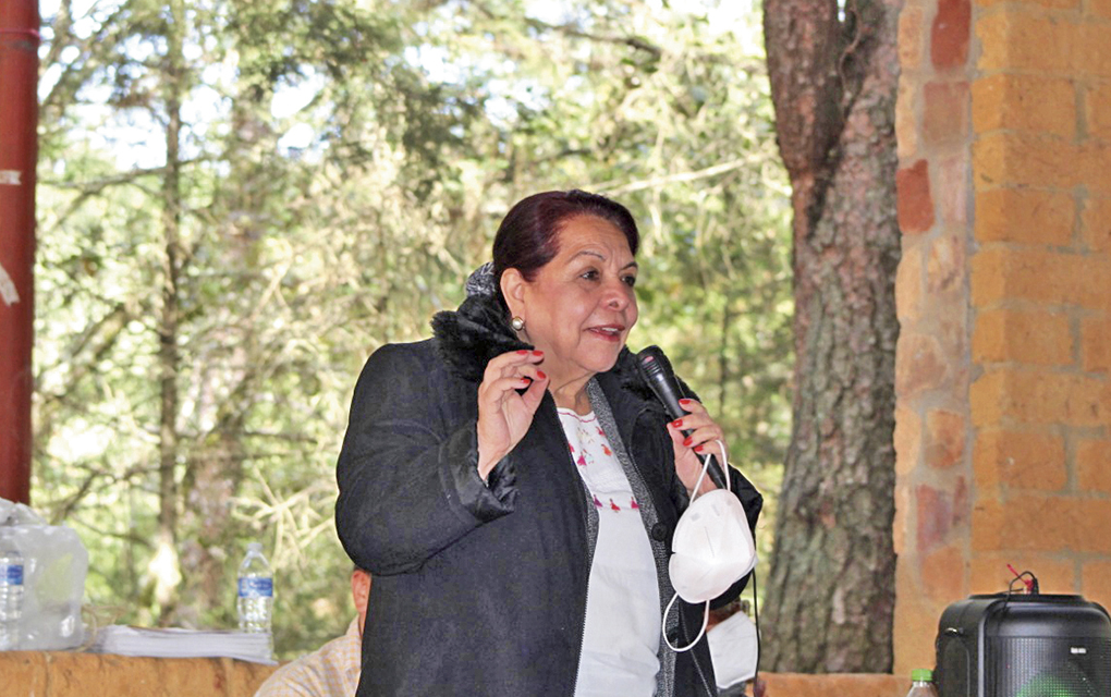 Celia Maya reúne a militantes en Pinal de Amoles
