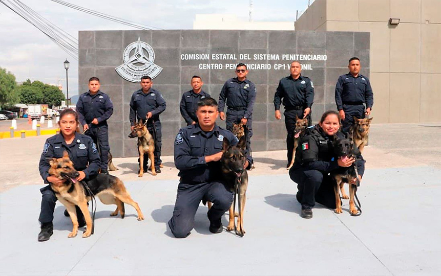 Fortalecen la seguridad del Sistema Penitenciario de Querétaro con la Unidad K-9