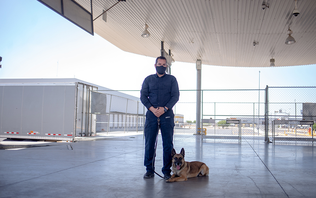 Binomio canino auxilia en la aduana del AIQ/ Foto: Yarhim Jiménez