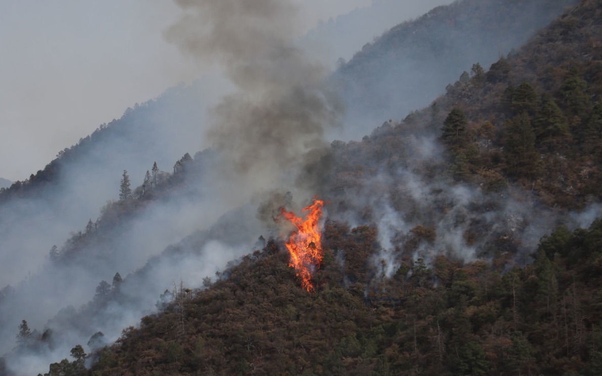 Confirmadas 790 hectáreas afectadas por incendios forestales en Querétaro / Foto: Cuartoscuro