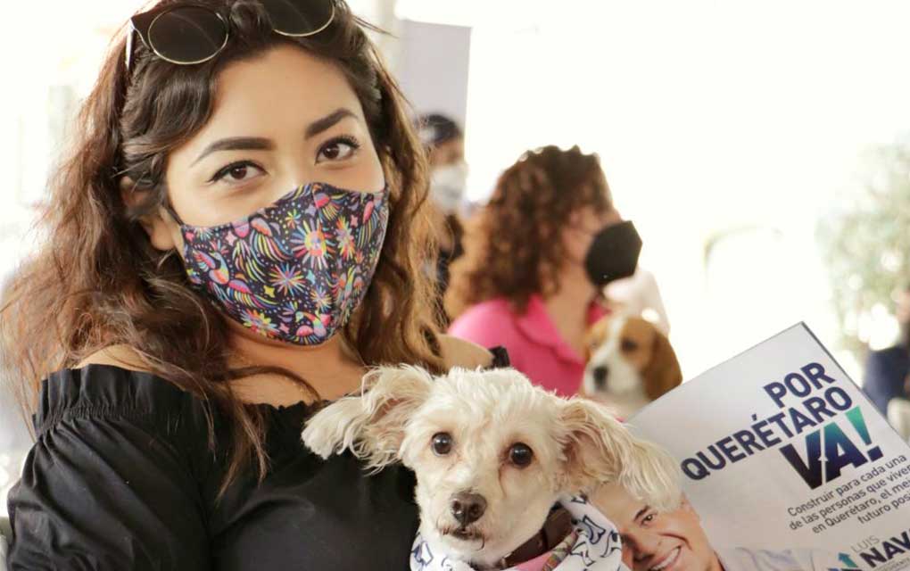 Propone Luis Nava acciones de cuidado animal integral en Querétaro
