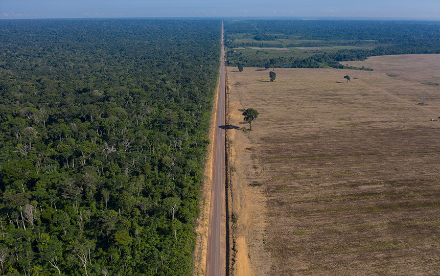 Aumenta la deforestación de la Amazonía brasileña