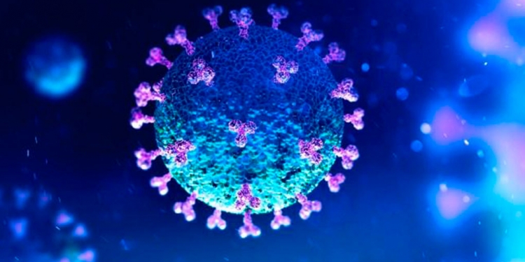 Más intriga: recuperan secuencias genéticas del coronavirus eliminadas en Wuhan / Foto: Especial