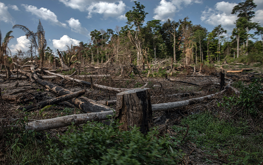 La iniciativa de Brasil para la Amazonia sigue sin convencer