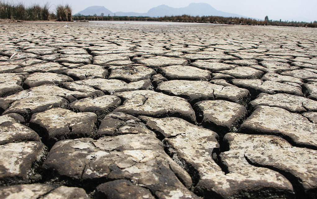 En sequía el 77 por ciento del territorio queretano