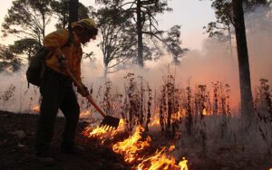Crece daño forestal en cifra similar de incendios / Foto: Cuartoscuro