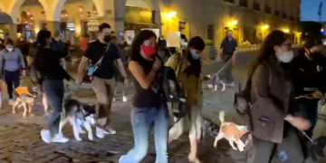 Video: El homenaje a Athos y Tango, los perros rescatistas envenenados en Querétaro