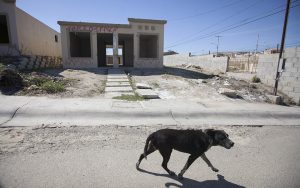 Alberga Querétaro 4 mil 700 casas de interés social abandonadas/Foto: Cuartoscuro