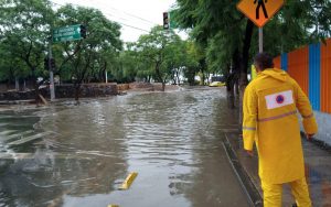 Dejó lluvia nueve casas afectadas por ingreso de agua