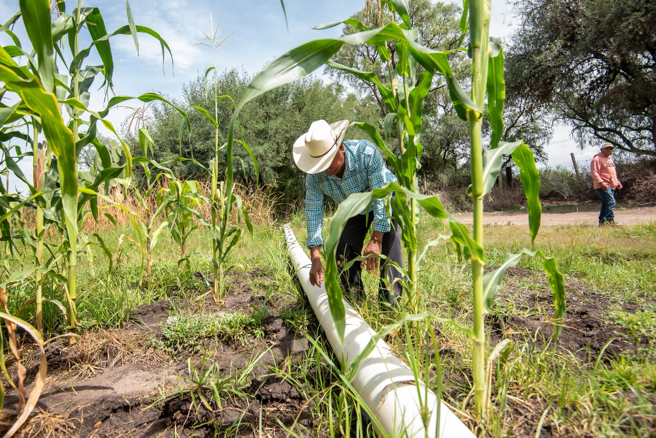 Tecnificación en riego es uno de los apoyos más comunes a agricultores en El Marqués. (Especial)