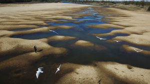 Varios pájaros vuelan sobre un hombre mientras toma fotos del lecho expuesto del río Paraná Viejo, un afluente del río Paraná durante una sequía en Rosario, Argentina, el jueves 29 de julio de 2021. (AP)