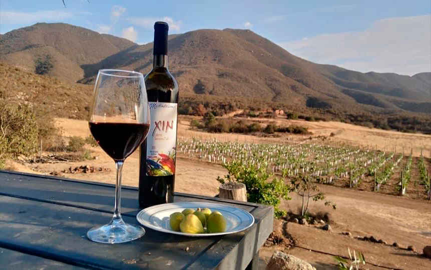 Inauguran nueva la ruta del vino en el norte del país
