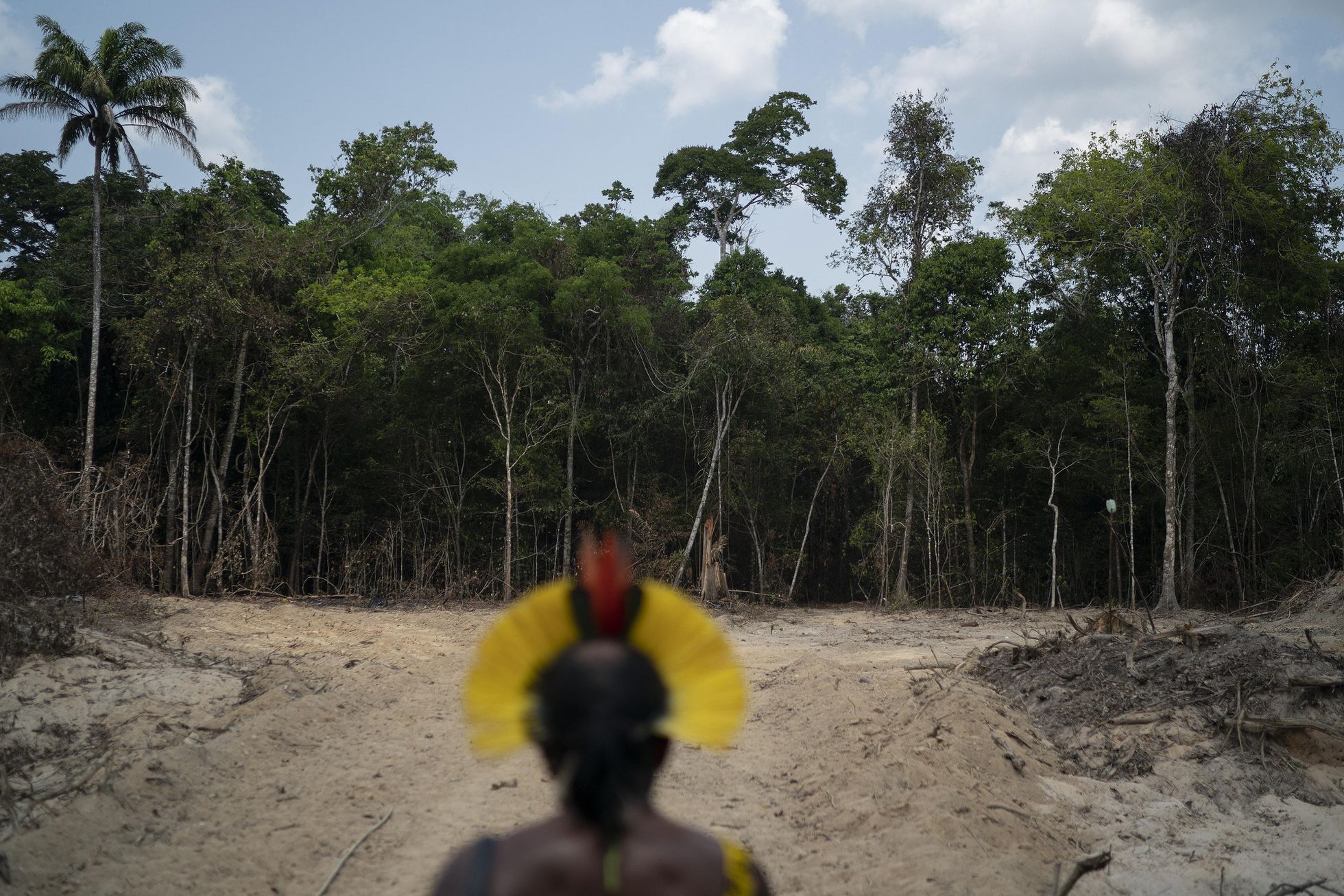 Los moradores ancestrales del Amazonas libran una importante batalla legal por la tenencia de sus tierras. Ellos son clave en la preservación del medioambiente. (AP)