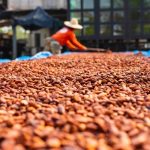 CHOCOLATE NEGRO - Emisiones de gases invernadero (por kilo de comida): 18.68 kg Dos razones por las que el chocolate tiene efecto negativo en el medioambiente son el cacao y la leche. Esto implica los altos efectos contaminantes de las vacas lecheras con las plantaciones de cacao.