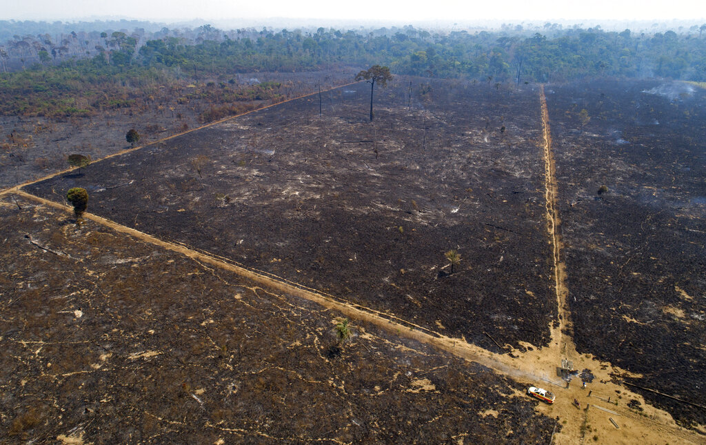 En esta imagen del 18 de agosto de 2020, se ve una zona consumida por el fuego y desmontada cerca de Novo Progresso, en el estado brasileño de Para, en Brasil. (AP)