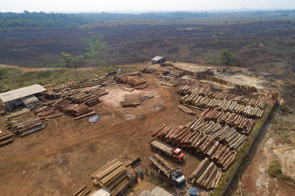 Unos troncos son apilados en un aserradero rodeado de campos recientemente carbonizados y deforestados cerca de Porto Velho, estado de Rondonia, Brasil, 2 de septiembre de 2019. (AP)