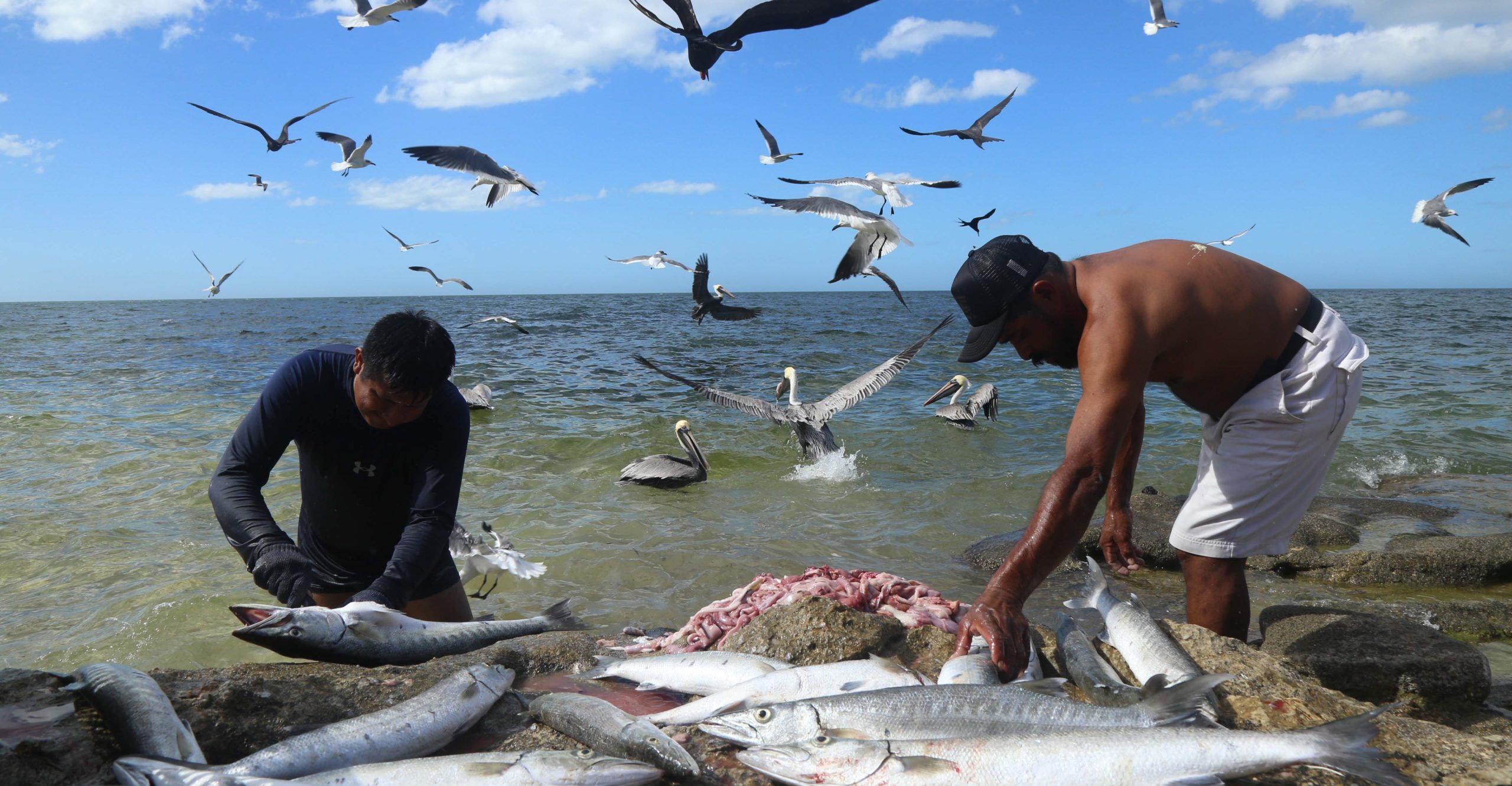 Entre 2012 y 2020 se incremento el consumo de pescados y mariscos de 8.9 a 13.9 kilogramos por persona al año. (Cuartoscuro)