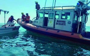 Rescatan a ballena atrapada en malla costera de Oaxaca