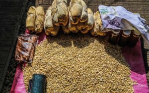 Piden agrupaciones campesinas incremento de precios de maiz