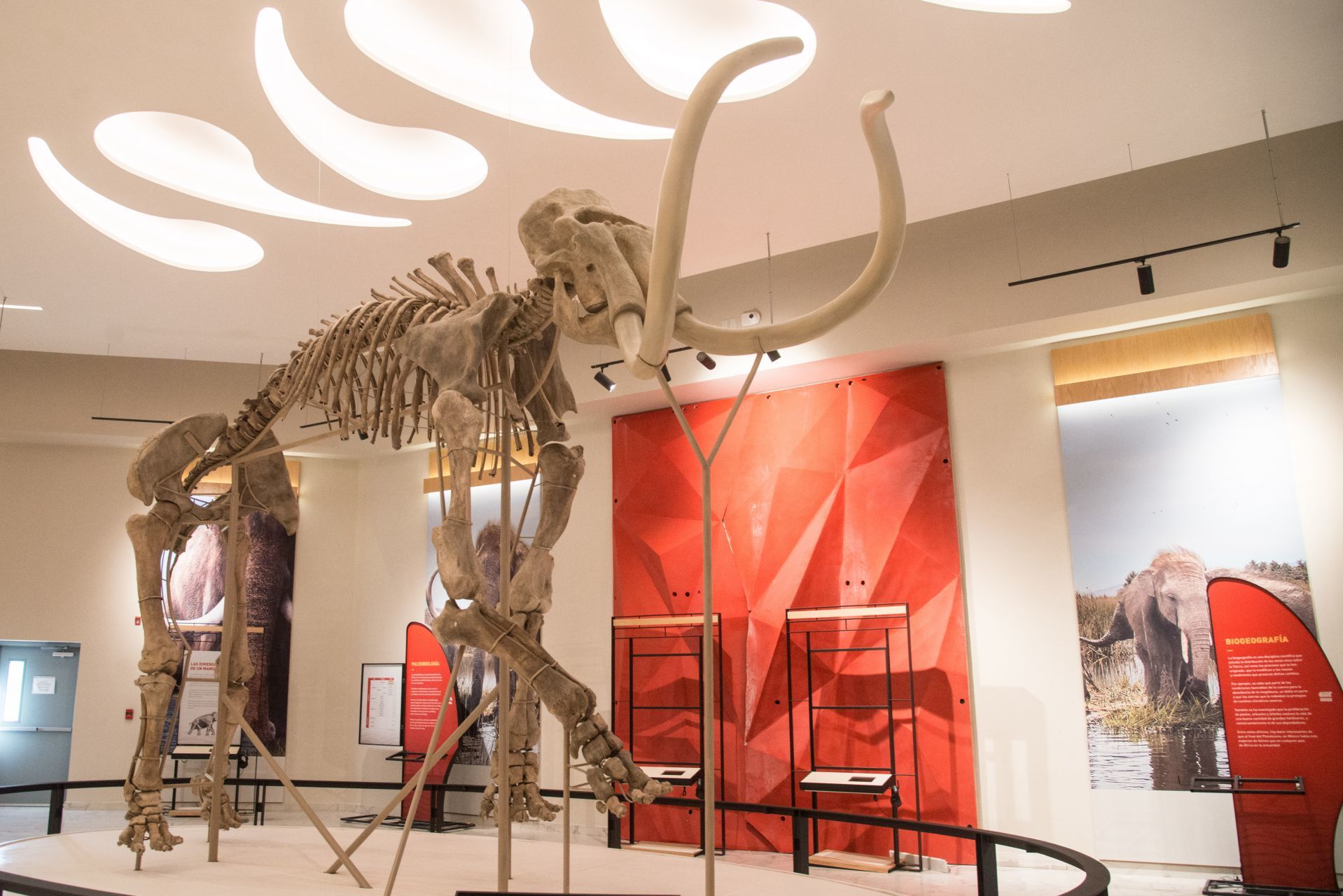 El Museo Paleontológico de Santa Lucía Quinametzin “Tierra de Gigantes, mejor conocido como El Museo del Mamut está por abrirse
