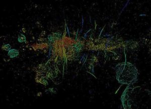 Nueva imagen revela hilos magneticos en la Via Lactea