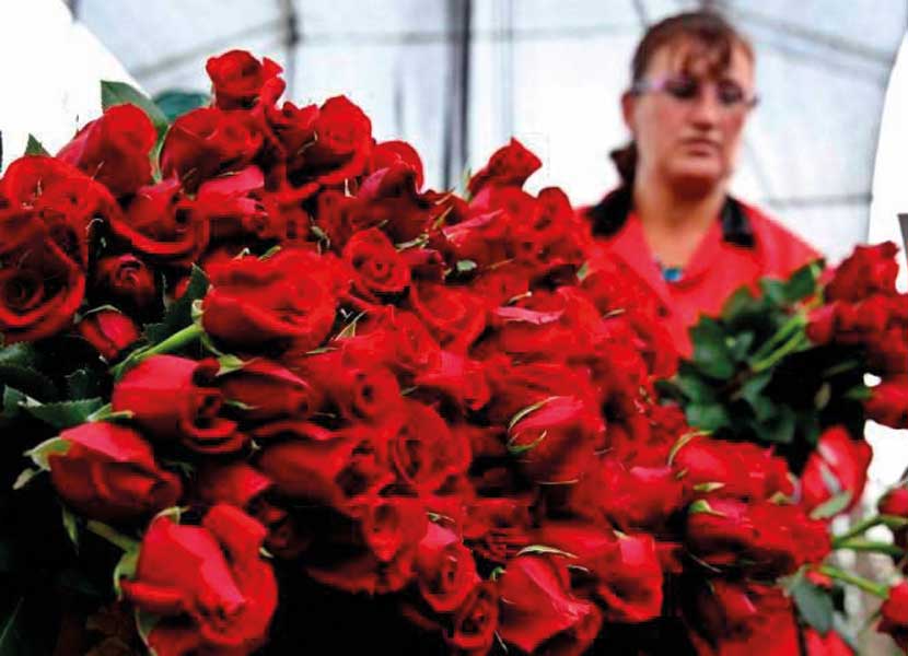 Las flores siempre han sido uno los regalos más recurrentes en el Día de San Valentín / Foto: Especial
