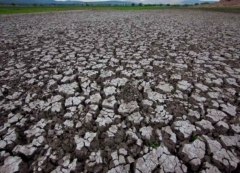 Los niveles de Sequía en Querétaro se encuentran en alerta, pues podría incrementar. Foto: Cuartoscuro