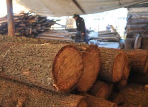 Guerra en Ucrania afecta la recuperación de la industria maderera