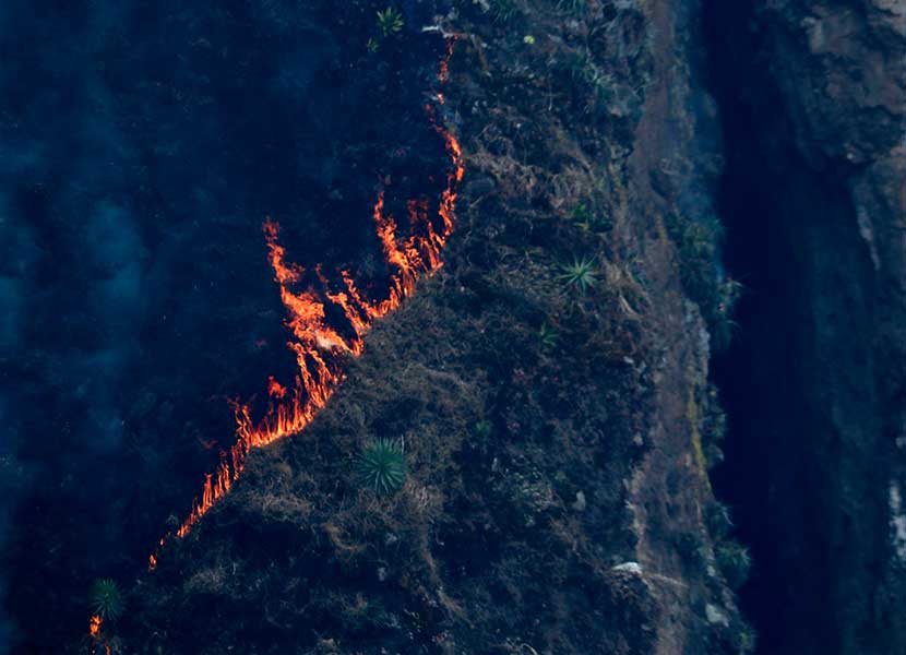 Además del incendio de Tepoztlán, existen 32 incendios forestales más. Foto: Cuartoscuro