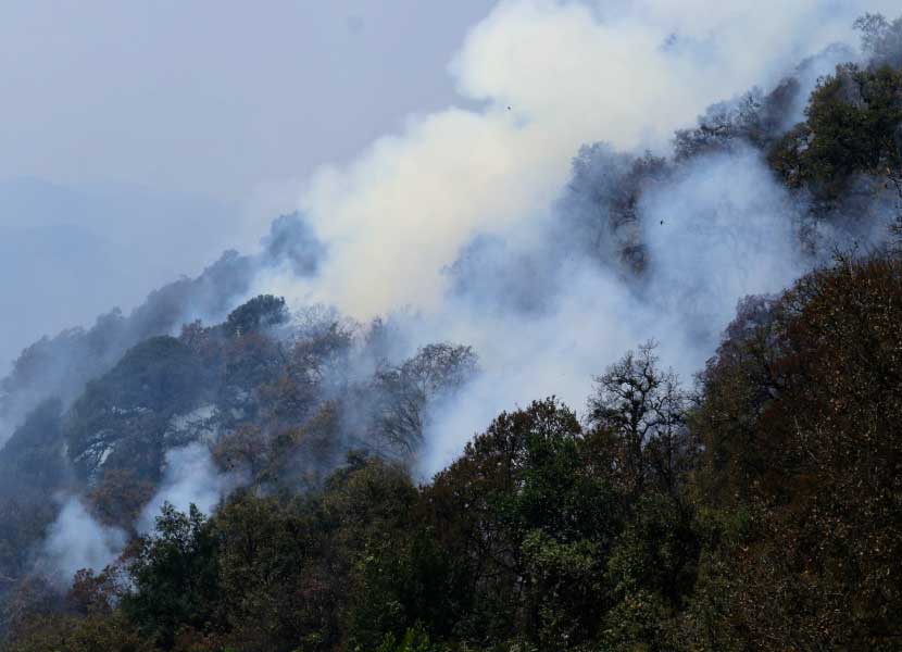 El incendio de Tepoztlán ha sido controlado, después de haber sido causado por un civil. Foto: Cuartoscuro