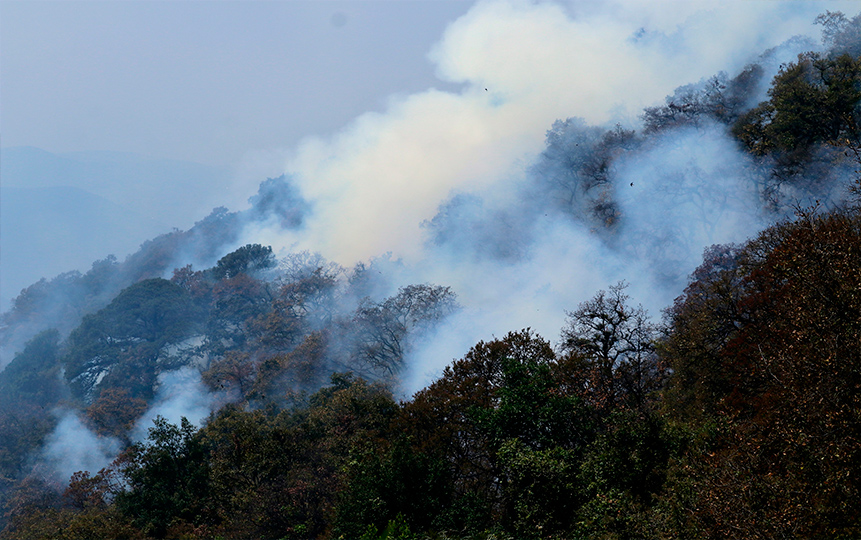 Incendios forestales afectan 86 hectáreas en Querétaro