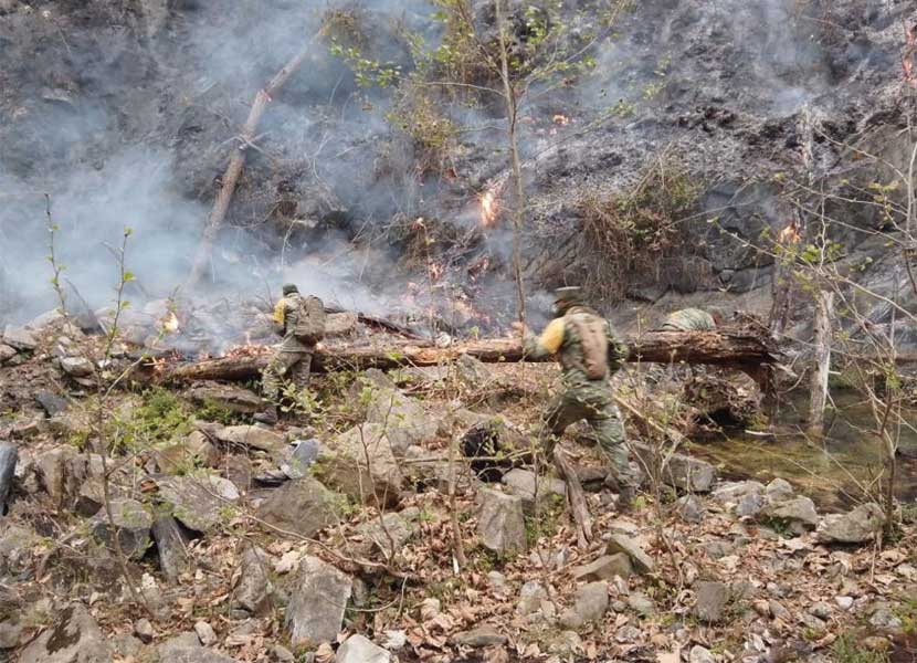 El 95 por ciento de los incendios forestales, en pastizales y en lotes baldíos en el estado de Querétaro son provocados. / Foto. Cuartoscuro