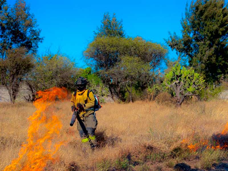 Autoridades de San Juan del Río llaman a prevenir incendios forestales / Foto: Especial 