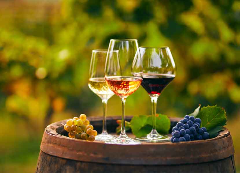 Querétaro, cuenca de un vino con uvas sobremaduras de la cepa Ruby. / Foto: iStock