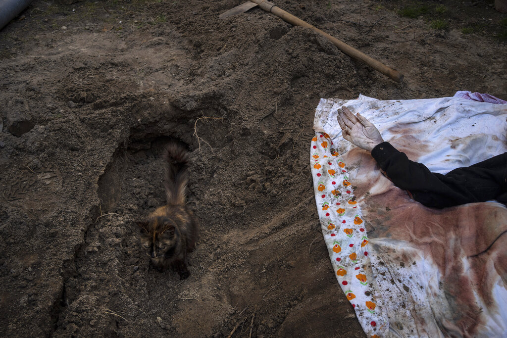 Un gato sentado sobre la tumba de Lyudmyla Kononuchenko, de 51 años, que fue enterrada por sus familiares y amigos el viernes 15 de abril de 2022, en Irpin, en las afueras de Kiev, Ucrania, luego de que fue alcanzada por un misil durante la guerra con Rusia. (AP)