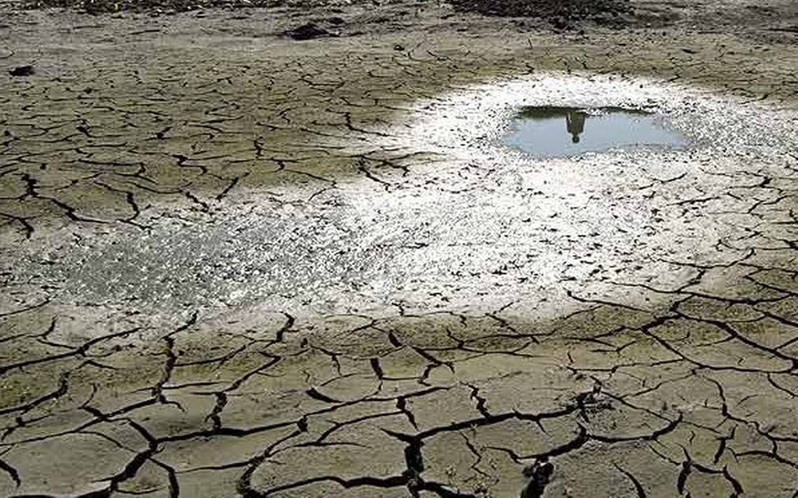Se indemnizará a 9 mil productores agrícolas queretanos afectados por sequías, heladas o lluvias. (Cuartoscuro)