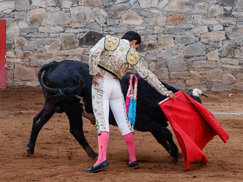 Suspenden corridas de Toros en la Plaza México. Foto: Isai López 