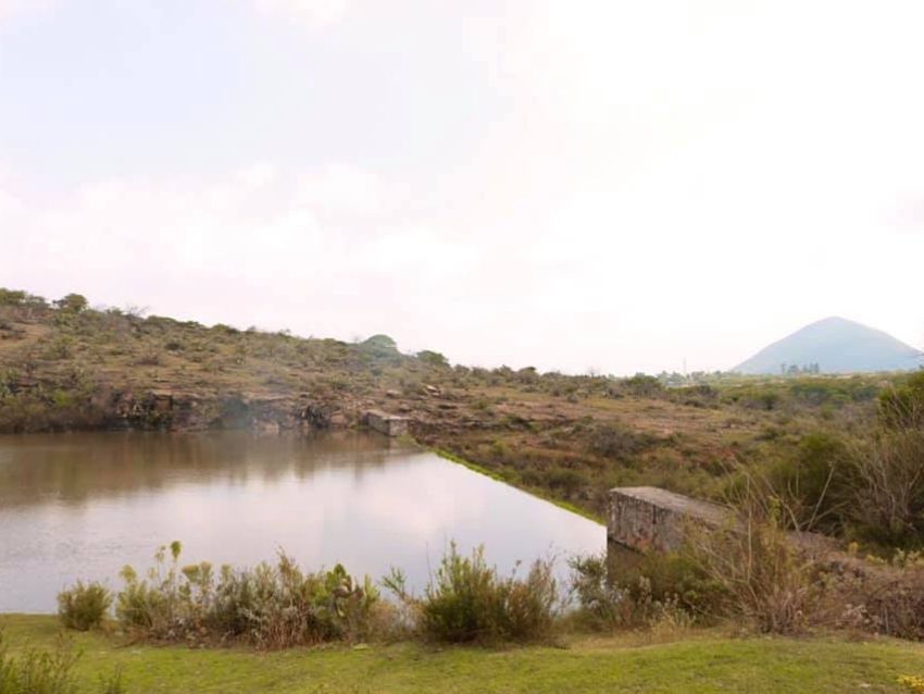 En 2006, 224 hectáreas fueron declaradas por el municipio como zona natural protegida en Jurica. (Especial)