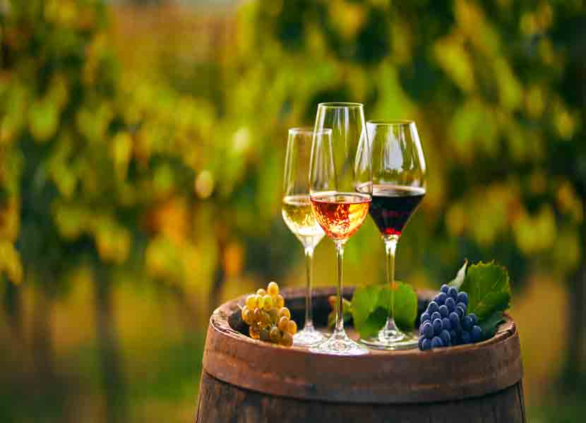 Querétaro tienen excelentes viñedos para degustar / Foto: iStock