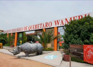 Garantizan justicia por ataque a dueño del zoológico Wamerú