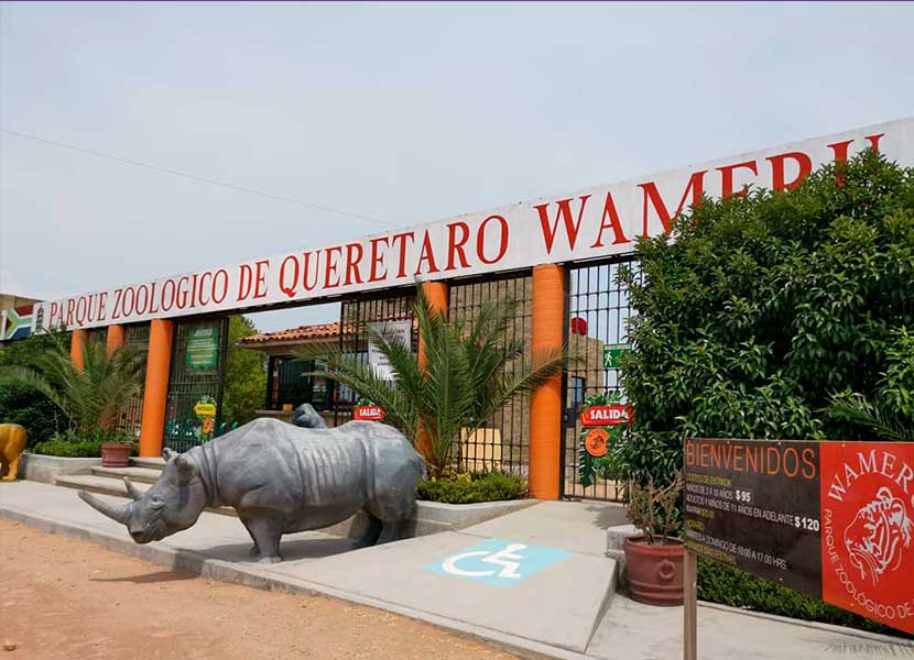 El gobernador del estado aseguró que no habrá impunidad en el caso del zoológico Wamerú. Foto: Twitter
