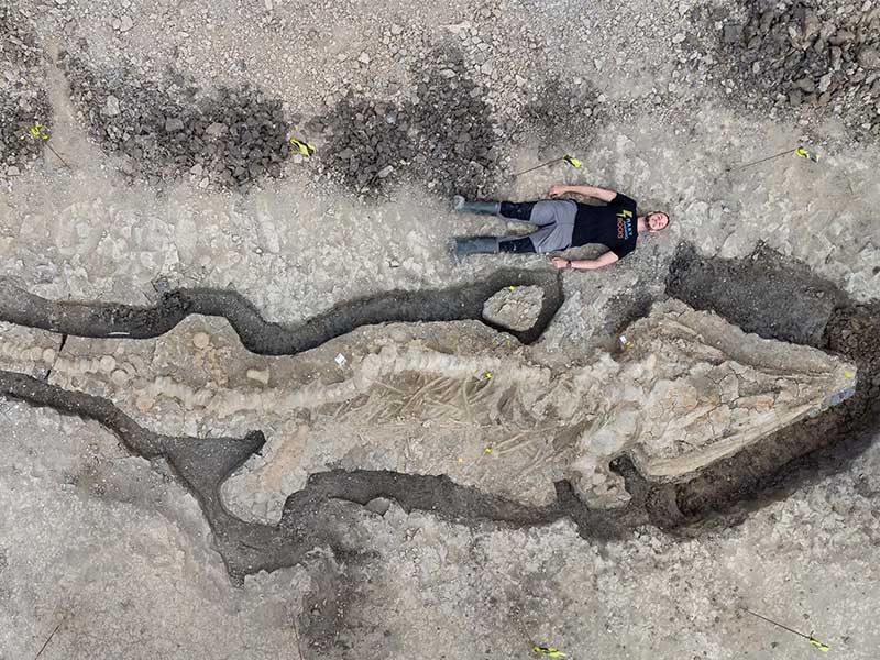 Encuentran fósil gigante de dragón 