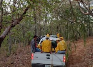 Incendio forestal en Landa de Matamoros alcanza 65 hectáreas