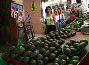 Kilo de aguacate se vende hasta en 140 pesos: Profeco