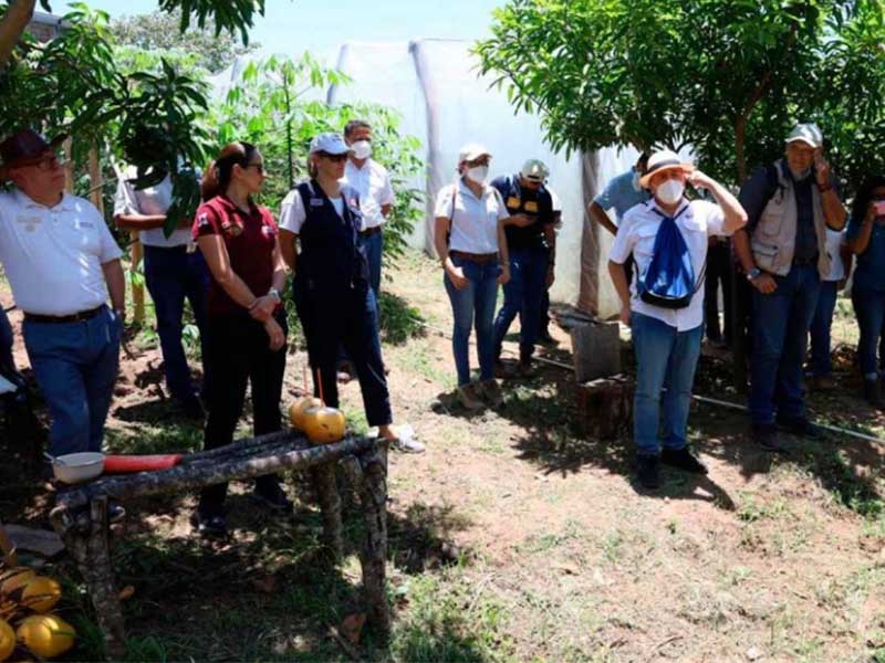 México supervisa el programa ‘Mesoamérica sin Hambre’ en El Salvador