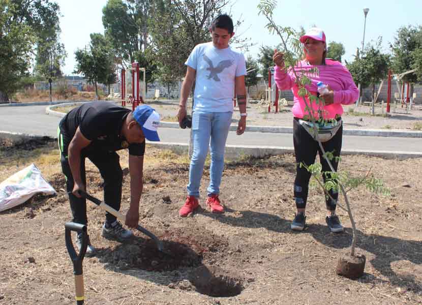 El gobierno municipal de El Marqués realizó la primera Jornada de Reforestación e Integración Comunitaria y Deportiva. / Foto: Especial