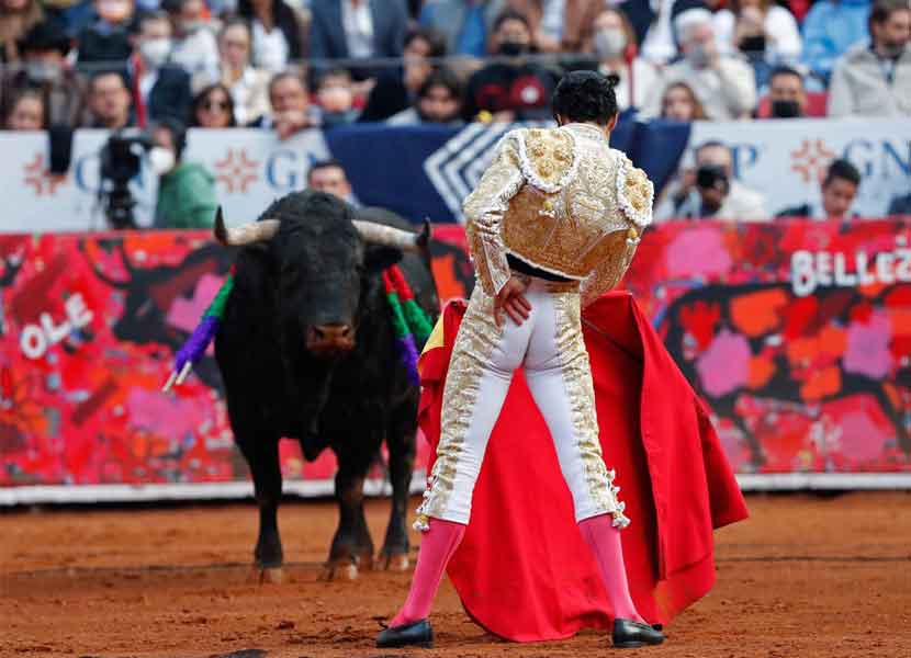 Prohíben provisionalmente las corridas de toros en la Plaza México. / Foto: Cuartoscuro