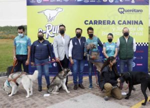 Anuncian carrera canina P-Run 2022 en el Parque Bicentenario