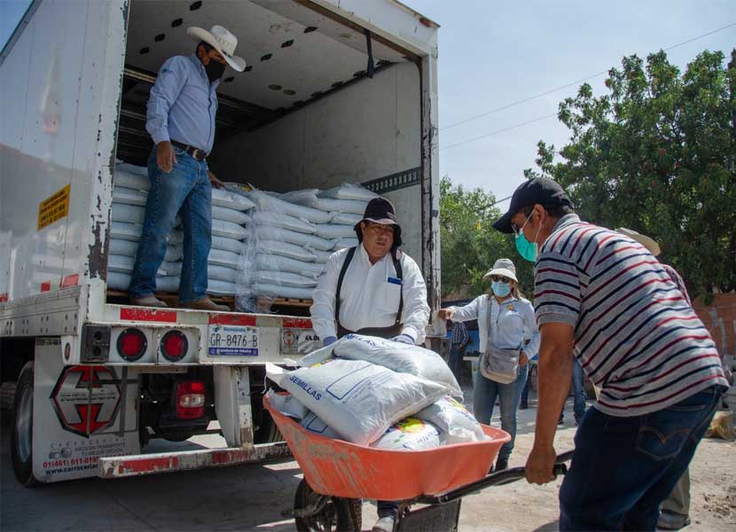 El Marqués entrega granos a productores temporales del municipio. Foto: Especial